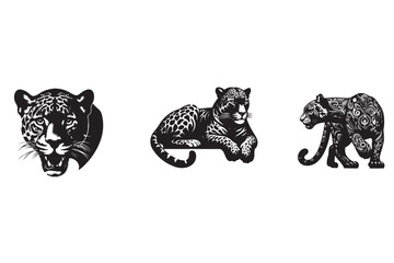  Jaguar  sillouette vector illustration