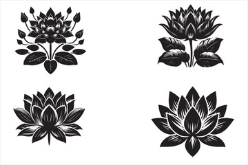 Lotus silhouette vector illustration