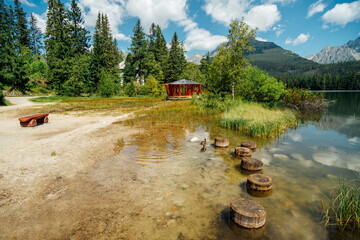 Summer in mountains. Lake, wild ducks and view to Mountains.