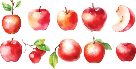 apple blossom watercolor clipart
