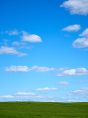 Horizon. Green field, blue sky and white clouds.