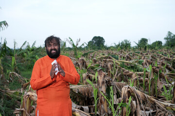 Fototapeta premium Indian Farmer Surveying Crop Destruction After Natural Disaster.