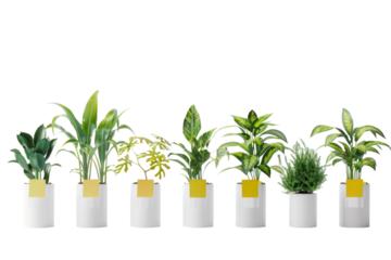 Organized Plant Marker Assortment Isolated On Transparent Background