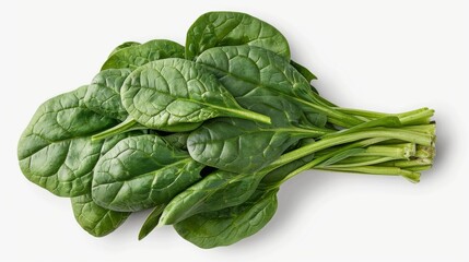 Obraz premium A bundle of fresh spinach leaves isolated on a transparent background, showcasing vibrant green colors and healthy texture.