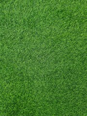 green grass pattern texture,green grass background ,top view background of grass garden, green backdrop, lawn for football field, golf course lawn,football