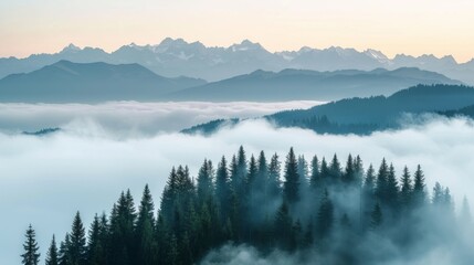 Obraz premium Misty mountains with layers of fog over a forest during sunrise or sunset, creating a serene landscape.