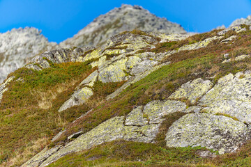 Alpine landscape with rocks and grass at Swiss mountain pass St. Gotthard on a sunny late summer day. Photo taken September 10th, 2023, Gotthard, Switzerland.