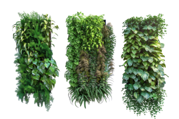Isolated Green Solutions: Vertical Garden Planters Revealed Isolated On Transparent Background