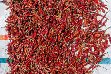 Naklejka premium Red chili pepper eating vegetable kept in the sunlight for drying. Raw chilli pepper spice cooking ingredient kept for food preparation