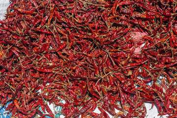 Red chili pepper eating vegetable kept in the sunlight for drying. Raw chilli pepper spice cooking ingredient kept for food preparation