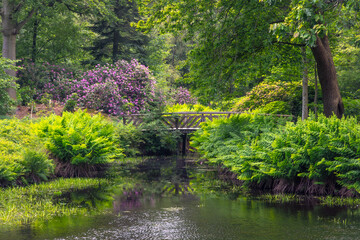 Lush green park, garden landscape, formal garden in the historic estate of Oranjewoud in Friesland,...