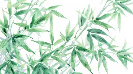 Green bamboo leaves isolated on white - Crisp and vibrant green bamboo leaves artistically  against a stark white background
