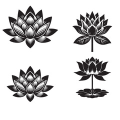 Lotus vector silhouette illustration