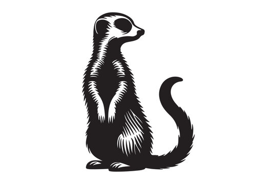 Mirkat vector silhouette illustration