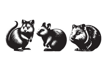 Quakka vector silhouette illustration