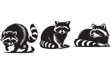Raccoon vector silhouette illustration