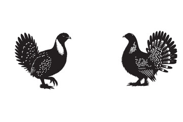 Sage Grouse vector silhouette illustration