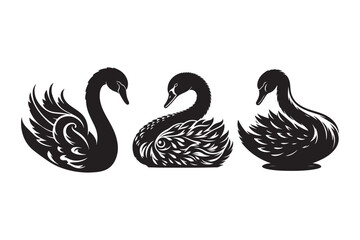 Swan vector silhouette illustration