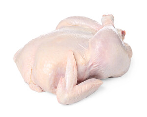 One fresh raw chicken isolated on white