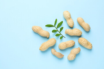 Fresh unpeeled peanuts and twig on light blue background, flat lay. Space for text