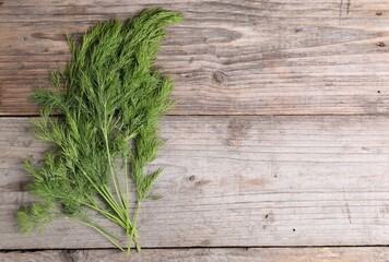 Sprigs of fresh green dill on wooden table, top view. Space for text