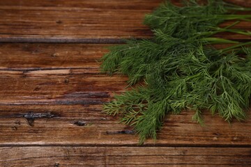 Sprigs of fresh green dill on wooden table, space for text