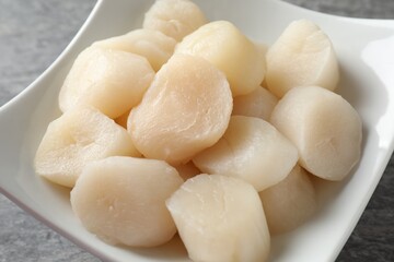Fresh raw scallops in bowl on grey table, closeup