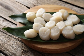 Fresh raw scallops on wooden table. Seafood