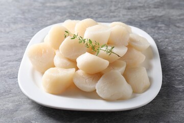 Fresh raw scallops and thyme on grey table, closeup