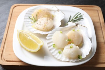 Raw scallops with green onion, rosemary and lemon on dark table, closeup