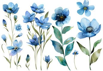 Fototapeta premium Set of watercolor blue flowers on a white backgroun