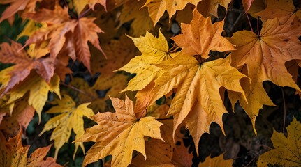 Fototapeta premium orange fall leaves autumn natural background with maple.generative.ai
