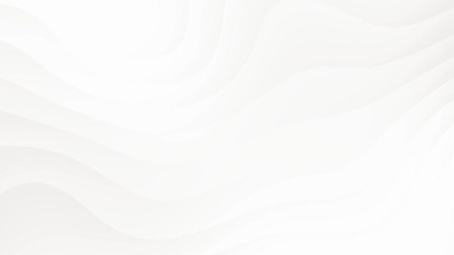 Elegant abstract white waves loop background animation.