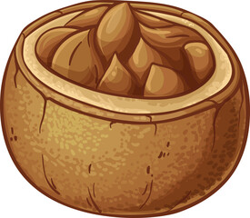 Brazil  Nuts  Colored Detailed Illustration