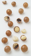 殻つきマカダミアナッツ