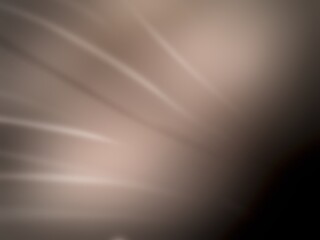 Light background, wallpaper pink gold, beige brown abstract plaint background With dark shadow