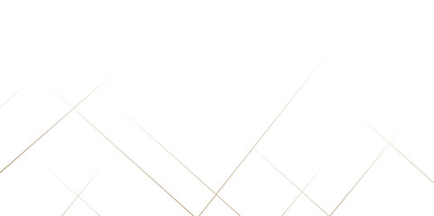 Abstract white background with golden lines Vector. geometric pattern squares and triangle shape. geometric random chaotic lines background.  creative web line on transparent background .