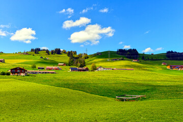 Obraz premium Landschaftsidyll bei Gais AR im Kanton Appenzell Ausserrhoden, Schweiz