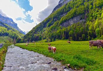 Wasserauen, Kanton Appenzell Innerrhoden (Schweiz)