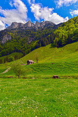 Wanderweg von Wasserauen zum Seealpsee, Kanton Appenzell Innerrhoden (Schweiz)