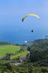 海岸沿いのパラグライダー