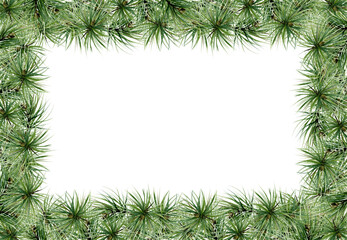 Pine tree, fir tree, spruce branches with needles. Watercolor hand drawn illustration, border frame isolated on white. Xmas, happy new year festive, noel navidad holiday. Cards, gifts, florist shop.