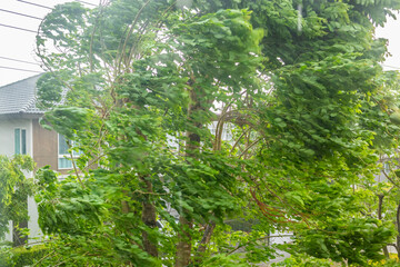 storm with heavy rain and strong winds