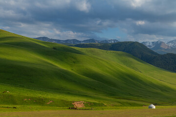 Fototapeta premium A picturesque high mountain plateau in the southeast of Kazakhstan in early summer