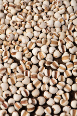 Job's tears  closed up texture and background