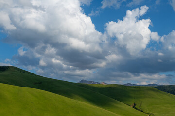 A picturesque high mountain plateau in the southeast of Kazakhstan in early summer