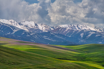 Obraz premium A picturesque high mountain plateau in the southeast of Kazakhstan in early summer