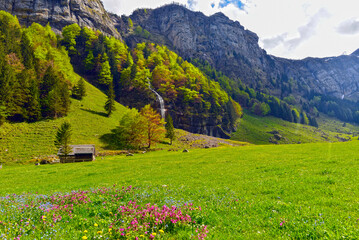 Fototapeta premium Die Seealp am Seealpsee im Alpsteingebirge, Kanton Appenzell Innerrhoden (Schweiz)