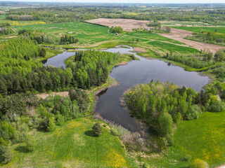 Aerial landscape of dark lake and green spring forest