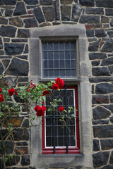 window flowers greenery architecture